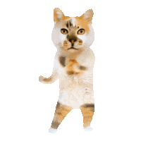 Bouspi Sticker