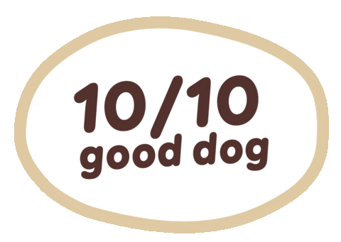 Good Boy Sticker by Big Dog Pet Foods