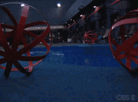 GIF by Big Brother
