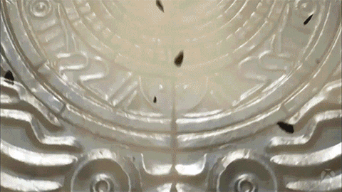 Rock Roar GIF by Xbox