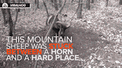 news running GIF by NowThis 