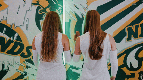 Volleyball Bison GIF by NDSU Athletics