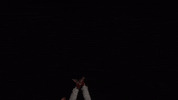 University Of Louisville Baseball GIF by Louisville Cardinals