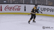 Happy Ice Hockey GIF by NHL