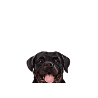 Tatiartblog Sticker