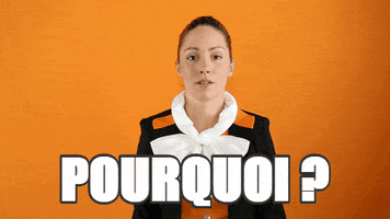 pourquoi GIF by Sixt