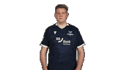 Karlsruher Sc Football Sticker by Bundesliga