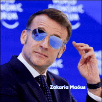 Happy France GIF