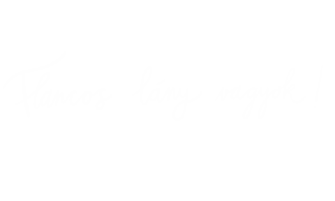 flancos giphyupload flancos flancoshungary flancosamindennapokban Sticker