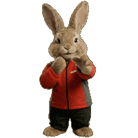 Easter Bunny Dance Sticker by Denner