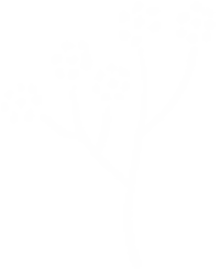 Flower 花 Sticker