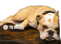Mood Weed Sticker by The Bulldog Amsterdam