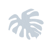 LaPozPlace plant plants leaf leaves Sticker