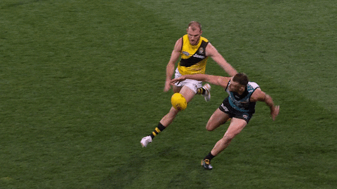 bounce robbie GIF by Port Adelaide FC