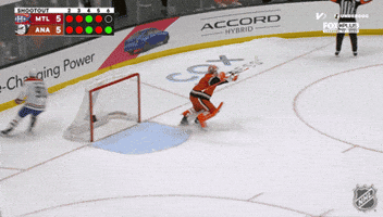 Happy Anaheim Ducks GIF by NHL