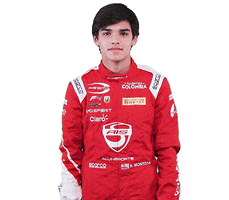 Sebastian F4 GIF by Prema Team