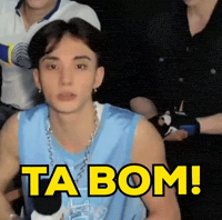 Rock In Rio Stray Kids GIF
