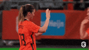 Happy Football GIF by KPN