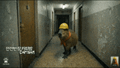 Suspicious Safety GIF