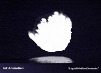 Animation Motion GIF by youmotion.com