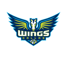 womens basketball Sticker by WNBA