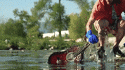 River Reaction GIF by Bay Ledges