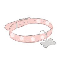 Cat Dog Sticker by We Love Planner
