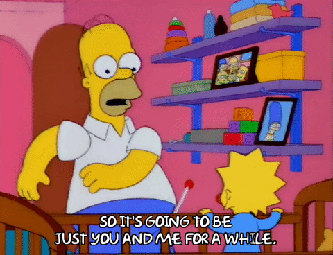 Season 3 Picture GIF by The Simpsons
