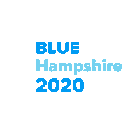 nhdemocraticparty vote election voting democrat Sticker
