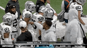National Football League GIF by NFL