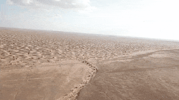 FenekRally desert rally sahara dunes GIF