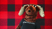Sarcastic Canadian GIF by choose.ca