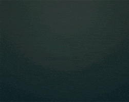 ui GIF