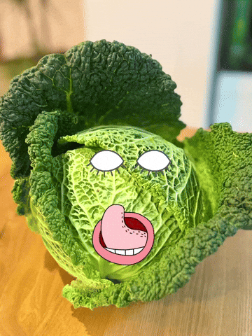 Cabbage Wirsing GIF