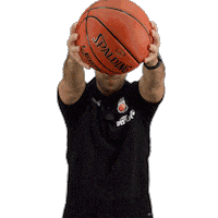 Sport Basketball Sticker by Bamberg Baskets
