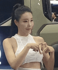 Model GIF