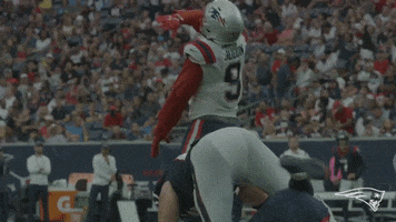 Football Wipe GIF by New England Patriots