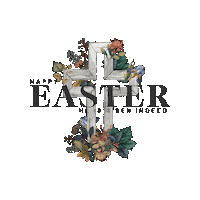 No Limits Cjc Sticker