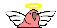 Party Parrot Sticker