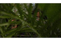 Khanyimbau GIF by NETFLIX