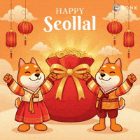 Red Lanterns Gold Coins GIF by BONK