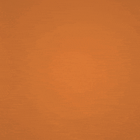 loop fire GIF by philiplueck