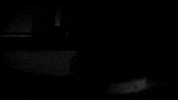 beach house GIF by Sub Pop Records
