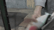 Mike D Ch-Check It Out GIF by Beastie Boys