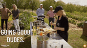 GIF by MasterChefAU