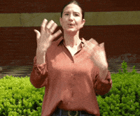 A Lot Wow GIF