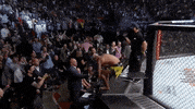 Dana White Sport GIF by UFC