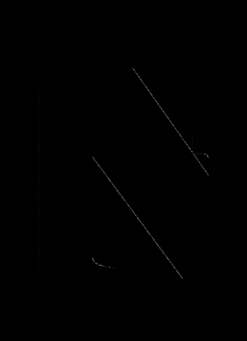 Noctisspa giphygifmaker noctis noctisletti GIF