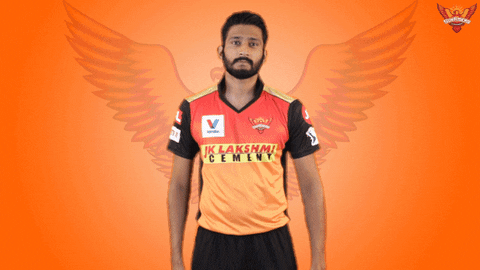 Orangearmy GIF by SunRisers Hyderabad