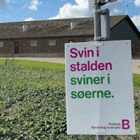 Radikaleftv26 GIF by Radikale Venstre